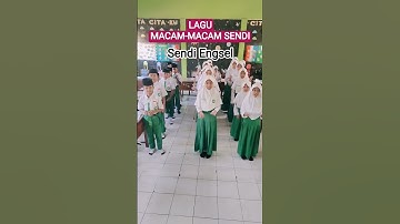 Thumbnail of Lagu Macam-macam Sendi #viral #viralvideo #viralshorts #viralreels #fyp #fypシ゚viral #youtubeshorts
