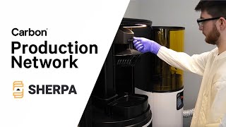 Carbon Production Network | Sherpa Design