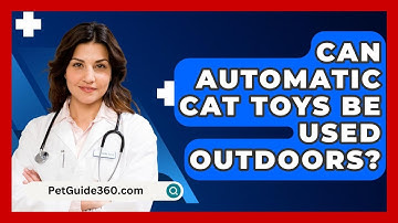 Can Automatic Cat Toys Be Used Outdoors? - PetGuide360.com