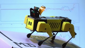 IMU demo on Mini Pupper 2