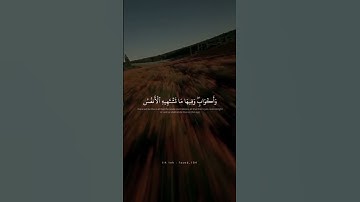 #خلف_عن_حمزة #المنشاوي #محمد_صديق_المنشاوي #تلاوة_خاشعة #القرآن_الكريم #قرآن #قران #القران_الكريم