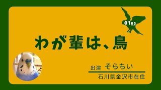 【セキセイインコ版】わが輩は鳥/あたしとり【#52】