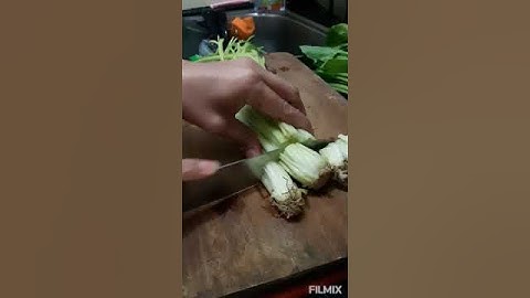 ASMR Cutting Skills Celery Roots Fresh Vegetables for Cooking Oddly Satisfying #shorts #video #viral