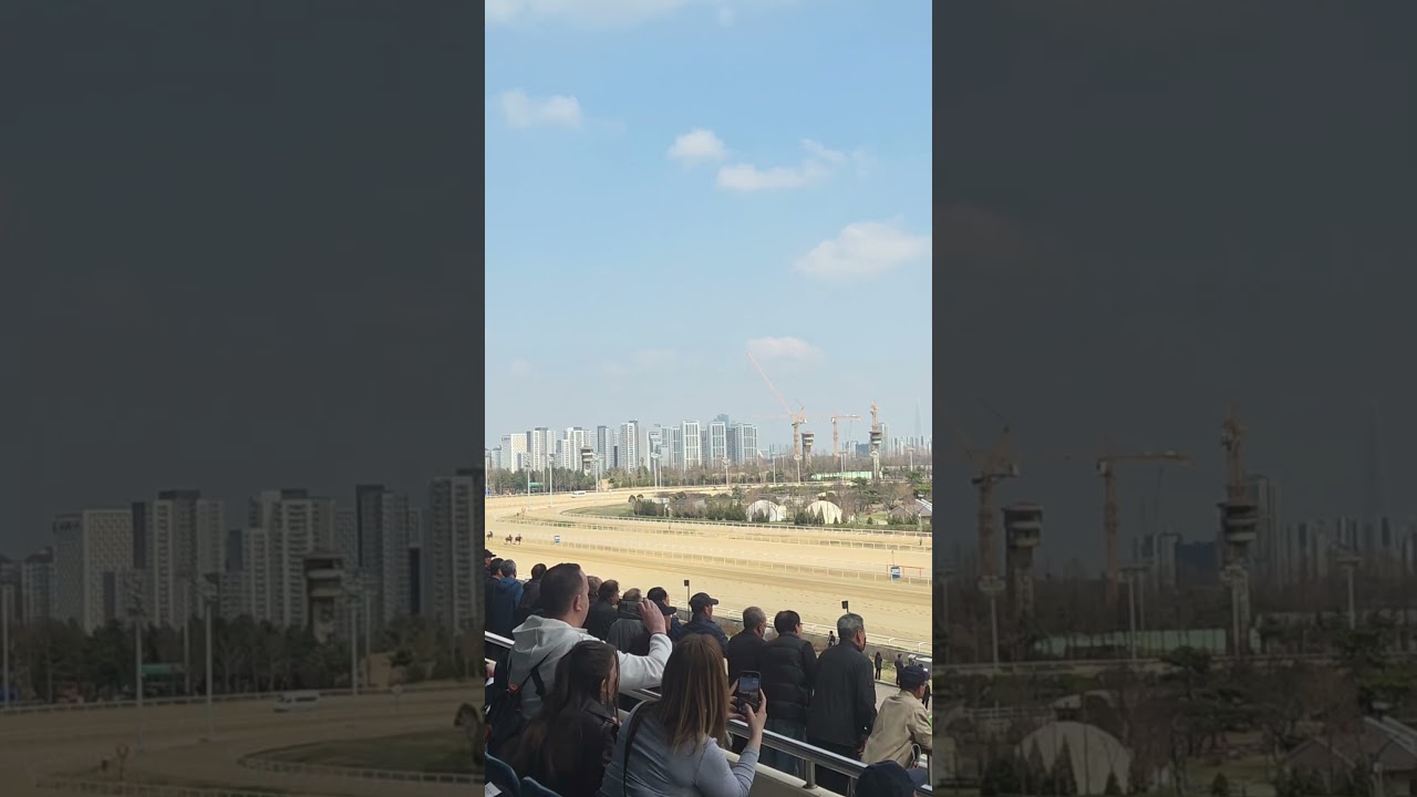 경마장 처음 갔는데… 사람들이 너무 진심이었습니다