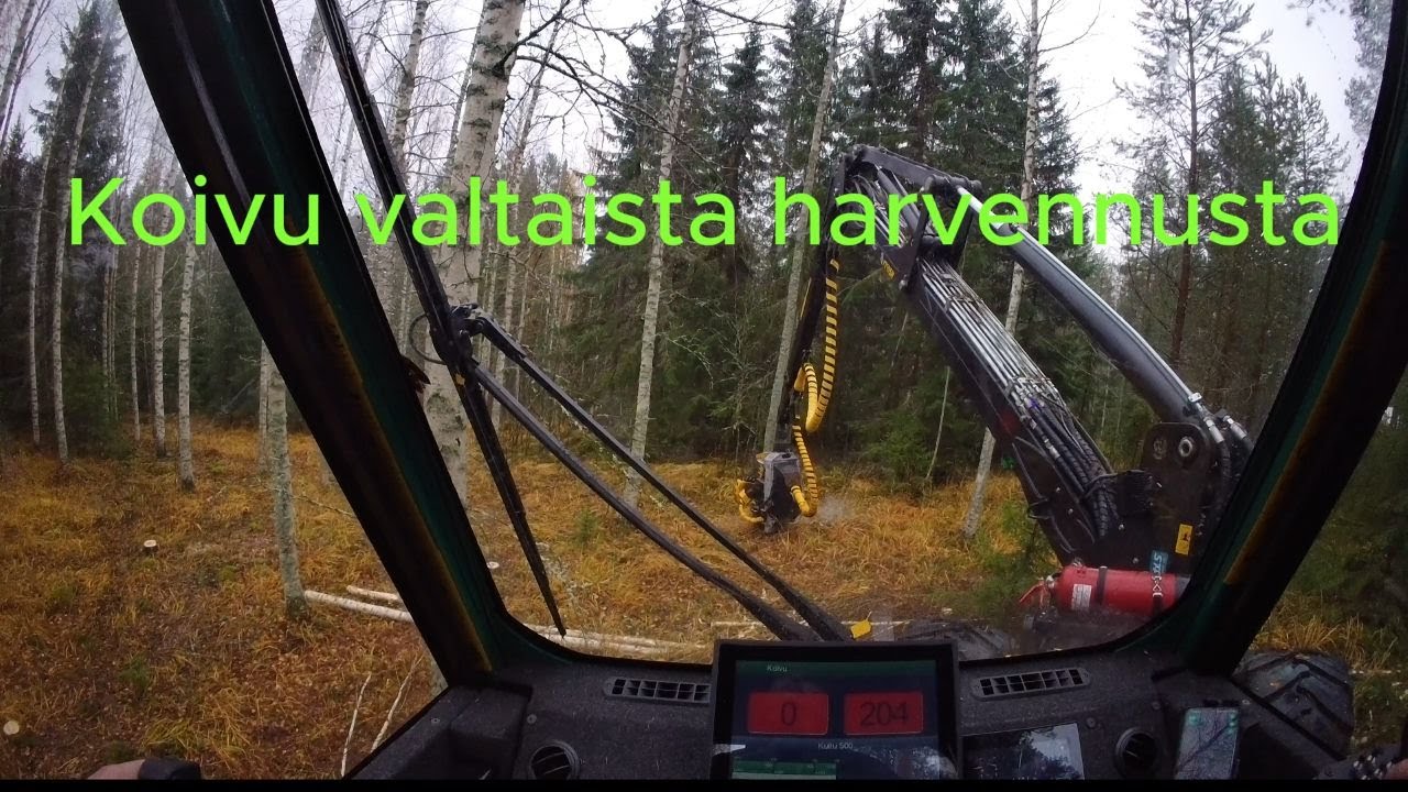 Koivu valtaista harvennusta Prosilva S3 & Kesla 19