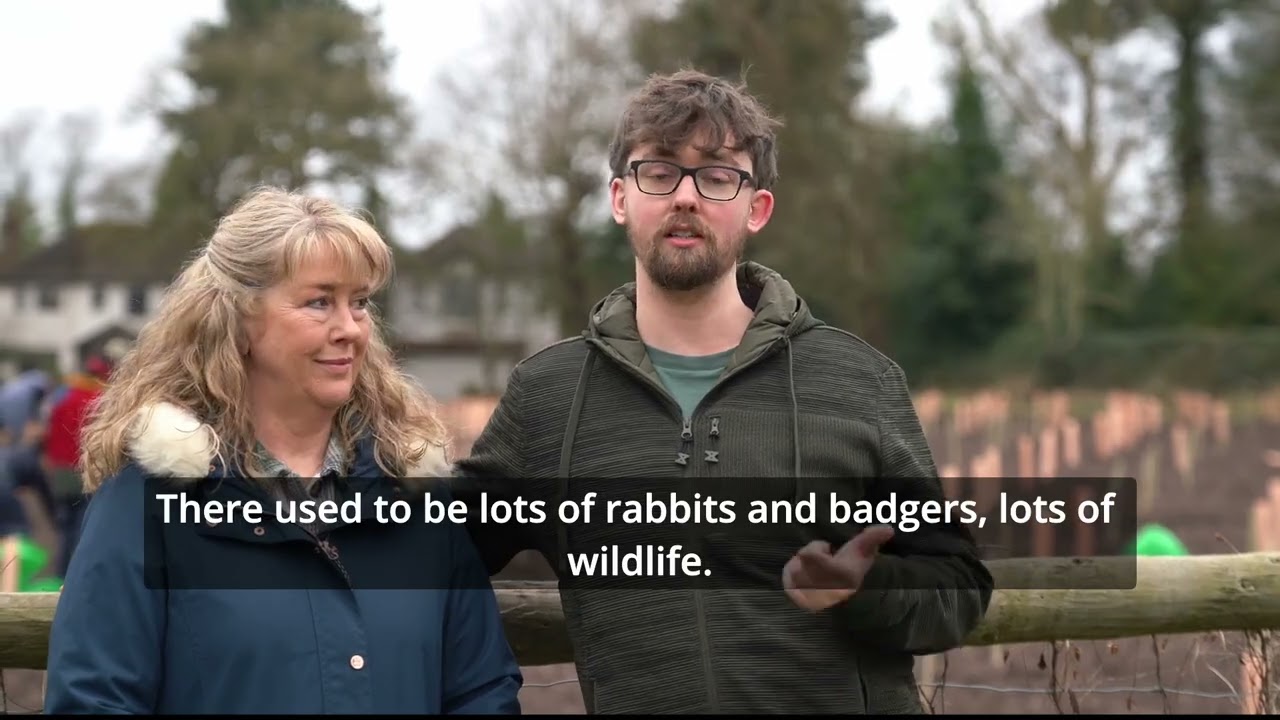 Planting at Toolerstone, near Northwich, Cheshire