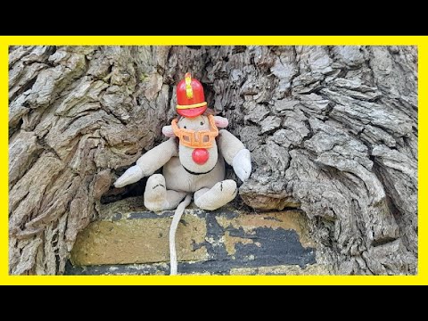 Introducing The Banana