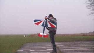 Acromaster maiden at Hasslanda outside of Lund - 2009-01-25