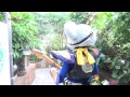 2014 08 20放送 知ったかぶりカイツブリにゅーす