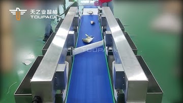 High Efficiency Automatic Weight Sorting Machine seafood Fish Shrimp Grading Machine