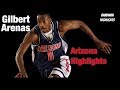 Gilbert Arenas Arizona Highlights