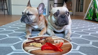 Can they resist? Leaving My French Bulldogs Alone With A Snack Platter