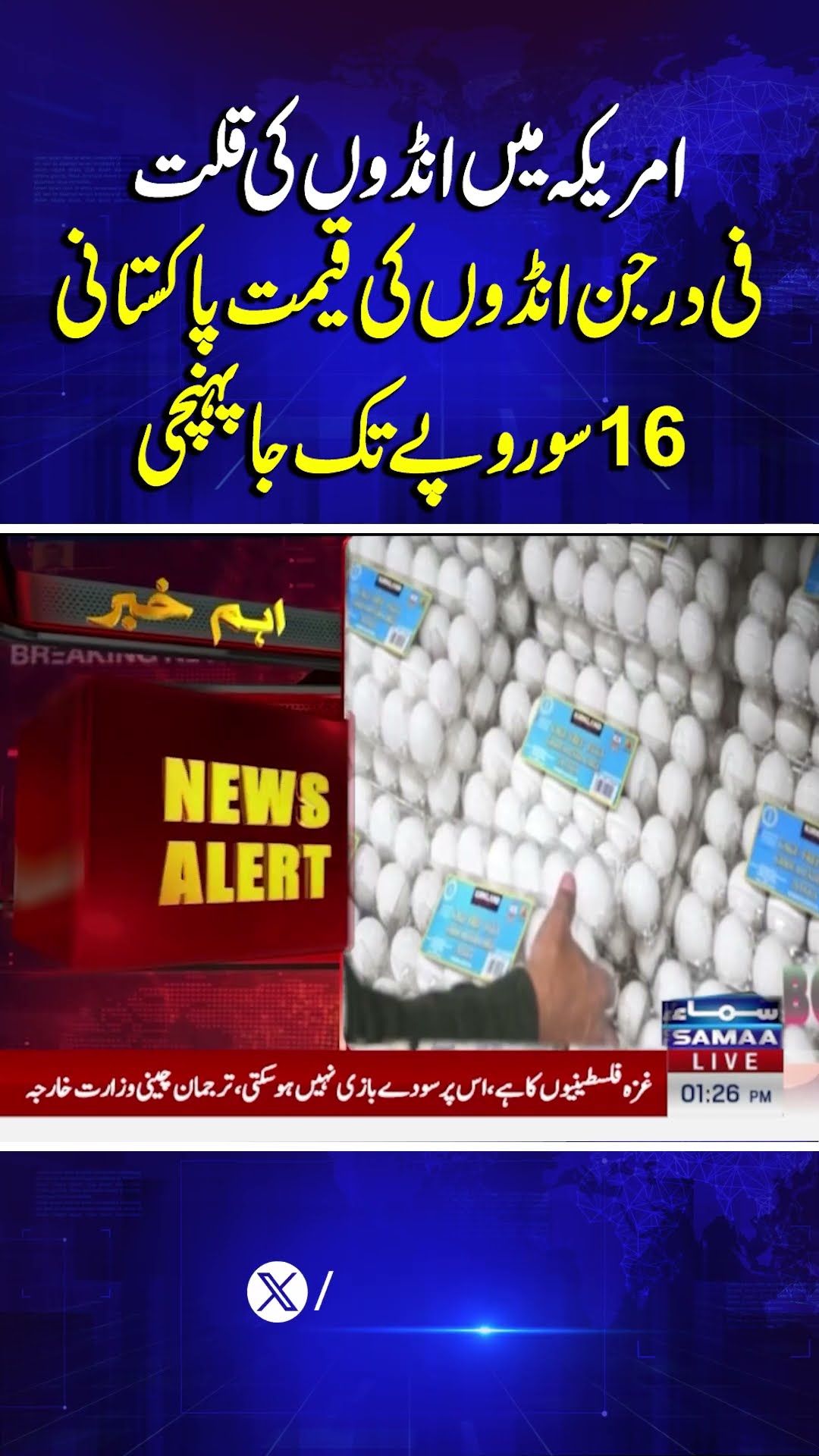 Shocking Price: 1 Dozen Eggs in America Sold for 1600 Pakistani Rupees | Breaking News | #trending