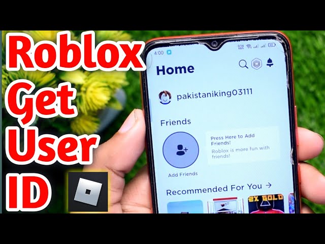 What Is a Player ID in Roblox? [All You Need to Know] - Alvaro