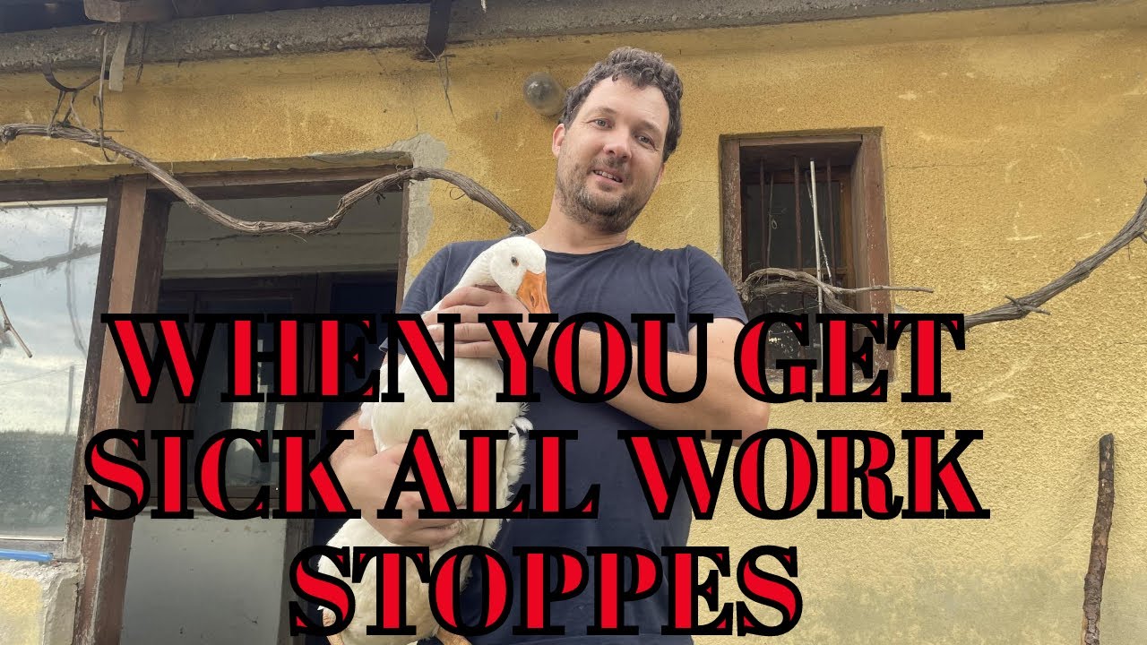 All Has Stopped YouTube