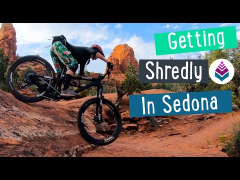 shredly sale