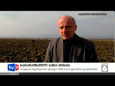 ახალი 6 | საგაზაფხულო ხვნა-თესვა | 14.02.13
