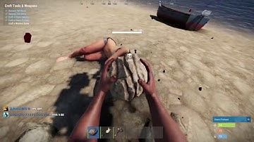 Rustralasia Hapis primitive start.