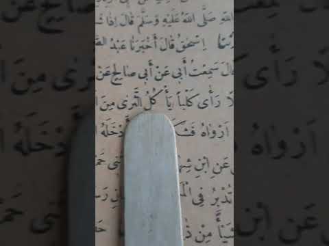 أن رجلا رأى كلبايأكل الثرىمن العطش فأخذ الرجل خفه فجعل يغرف له به حتى ارواه فشكرالله له فأدخله الجنة