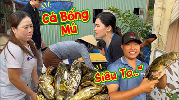 Chiều Dám Họ,Cả Gia Đình Cùng Nấu Các Món Ăn Ngon Để Tiếp Đải Khách Quý Đến Chơi Và Nhậu Lai Rai…