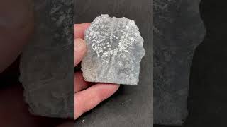 Dendritic Silver Ore Castle Mine, Haultain Twp Gowganda Ont 6.5cm #preciousmetals #silver #stacker