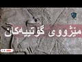 مێژووی گۆتییەکان