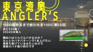 【東京湾奥】隅田川　悶絶クルクルバチ？バチパターン釣行3【シーバス釣り】2024GW Can We Catch Fish In Tokyo Bay? #50