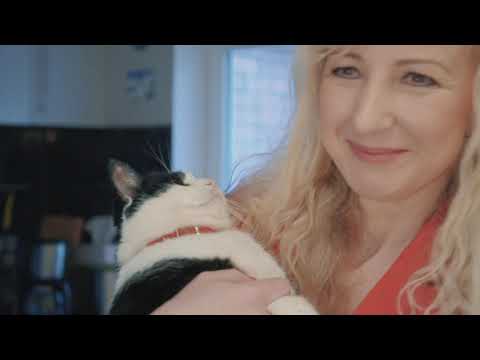 Video: Ko Kaķi Dara, Būdami Vieni?
