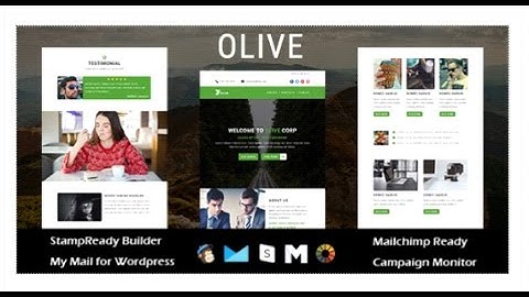 OLIVE - Multipurpose Responsive Email Template with Stampready  | Themeforest Download