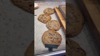 the BEST item at Panera Bread the BEST item at Panera Bread