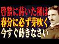 啓蟄から春分までの15日間で人生が変わる。テスラが教える"{種|たね}蒔きの法則"｜啓蟄｜ニコラ・テスラ