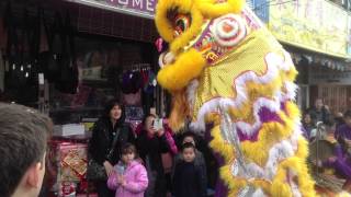 Chinese New Year Parade 2014 - 8th Avenue BK