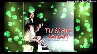 Tu Mera Jahan - Altaaf Sayyed_320(WapKing)