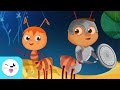 The anthill an important story about truth and honesty  educational stories for children