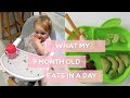 What my 9 Month Baby Eats in a Day