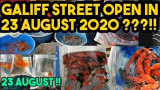 Galiff Street Pet's Market Open in 23 August 2020 / 23 August / galiff Street in lockdown /