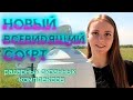 ЮМИРС. 16 РАДАРНЫХ КОМПЛЕКСОВ и 260 КАМЕР в одном софте!!!/Новая разработка в сфере охраны объектов