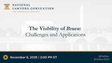 The Viability of Bruen: Challenges and Applications [2025 NLC]