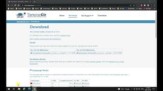Tortoise Git Installation (Windows Only) Net Worth