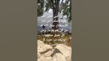 #اكسبلور #لايك #القاريء #تيك_توك #الرحمن #nature #quran #راحة_نفسية #تلاوات #حالات_واتس