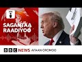 Dogongora Tiraamp Shanan Abbayyaafi Hidha Abbayyaarratti BBC News Afaan Oromoo