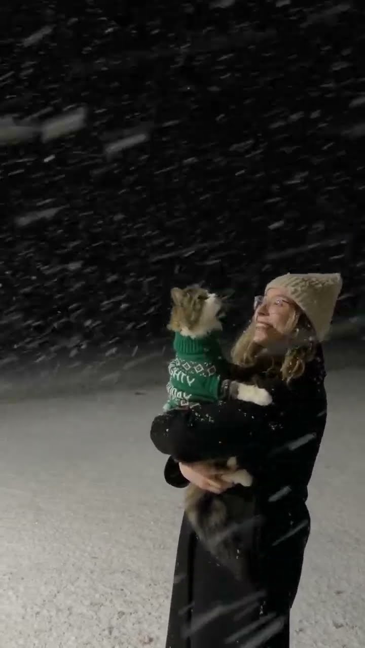 TOP DES VIDÉOS TRÈS MIGNON ❤️ ❤️ ❤️ ❤️ ❤️
