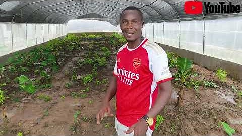 How the Water Sprinklers Work in a Snail Farm Greenhouse