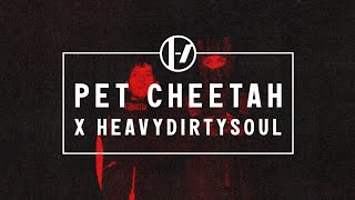 Twenty One Pilots - Pet Cheetah x Heavydirtysoul (From An Evening With Twenty One Pilots)