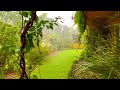 Beautiful Weather in Lahore | Rain and Thunder | Mind Relaxing | Nature