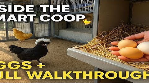 “Inside My Smart Fancy Chicken Coop 🐔🥚 | Walkthrough + Fresh Egg Collection Tour!”