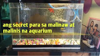 malinis na aquarium|pano ba magiging tunay na malinis ang fish tank|clean water for my fish tank