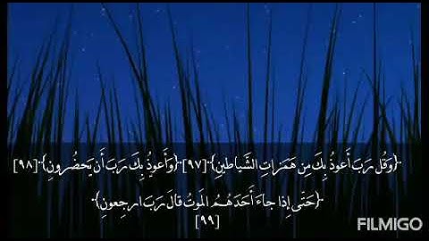 تلاوة من أوآخر سورة المؤمنون/ بصوت الأخ الفاضل أبي يحيى وليد الريدي
