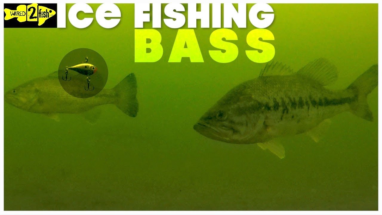 How to Catch Largemouth Bass on the Ice this Winter