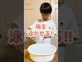 描いた魚が泳ぎだす！？ふしぎな簡単実験！ #小学生 #自由研究 #shorts